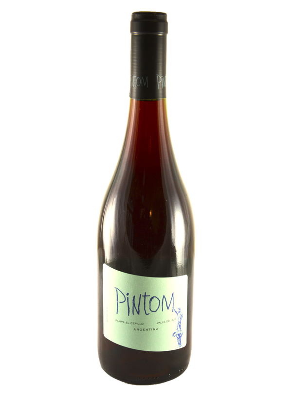 Pintom Pinot Noir | Natural Wine by Canopus (Argentina).
