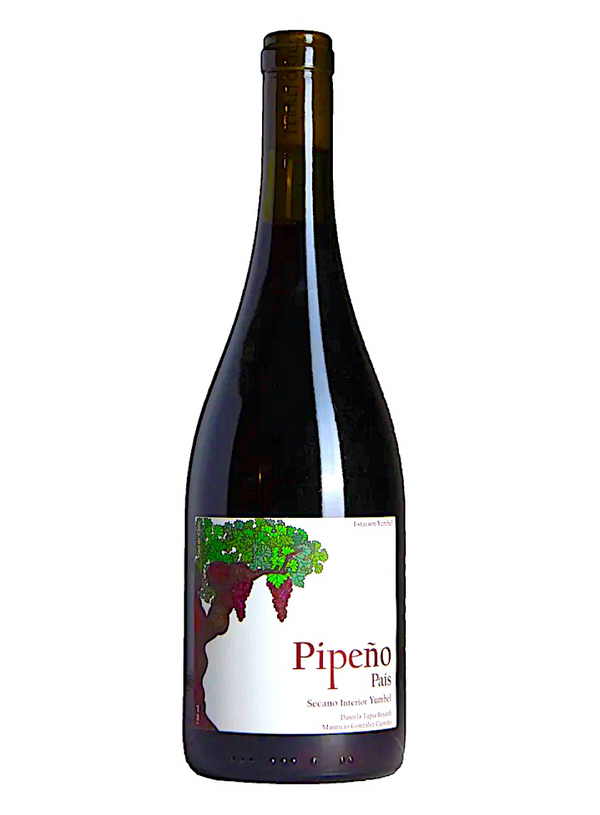 Pipeño País (Chile) | Natural Wine by Yumbel Estación.