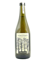 Principiante | Natural Wine by Santa Colomba.