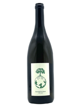 Sauvignon Blanc vom Opok 2019 | Natural Wine by Werlitsch.