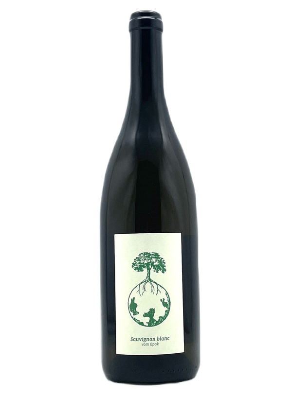 Sauvignon Blanc vom Opok 2019 | Natural Wine by Werlitsch.