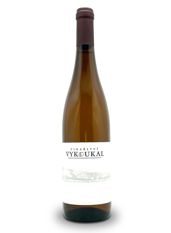 Sauvignon Blanc 2020 | Natural Wine by Zdenek Vykoukal.