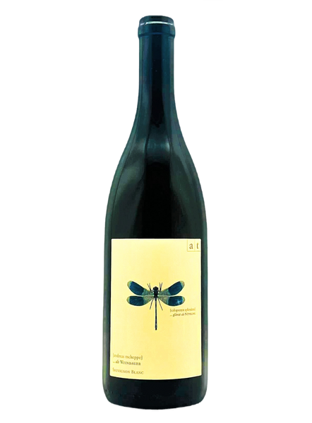 blaue-libelle-edited-2_grande.