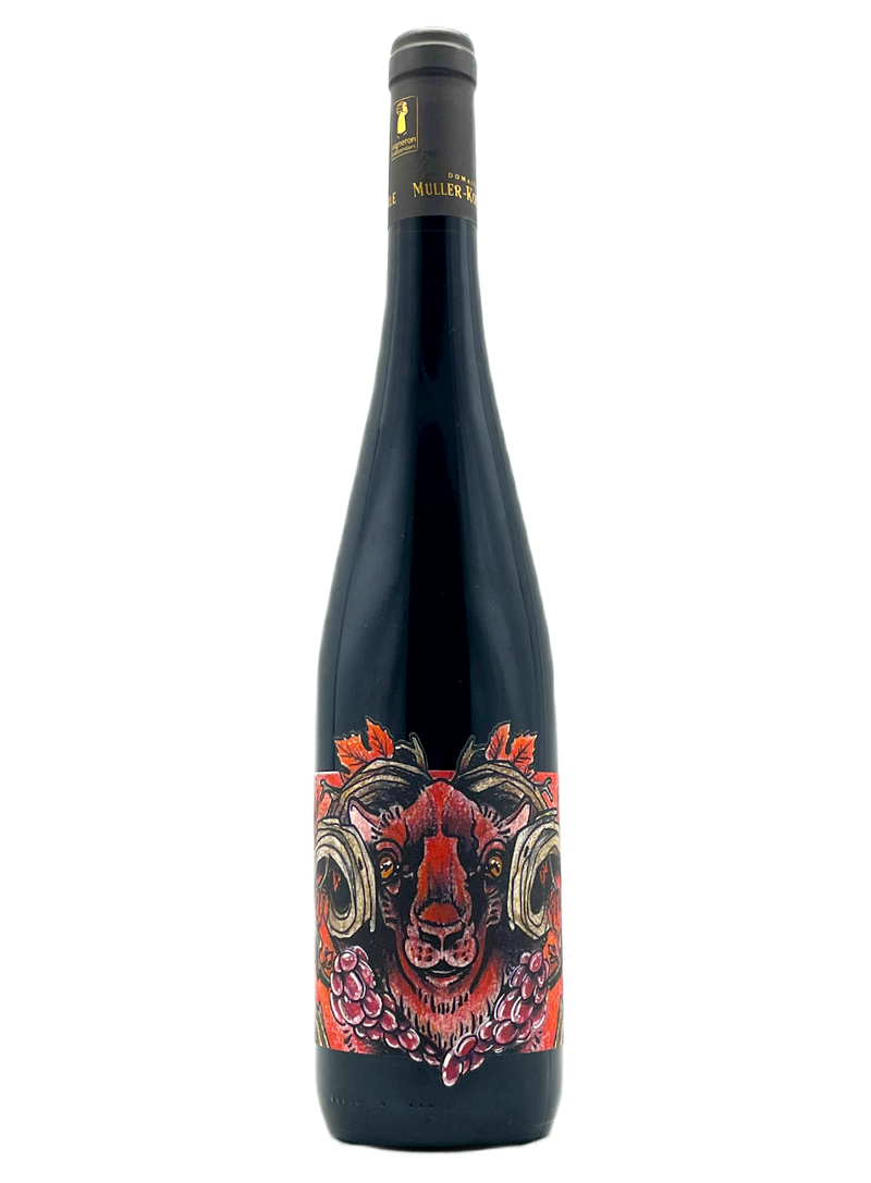 Le Geiss 2020 | Natural Wine by Muller Koeberle.