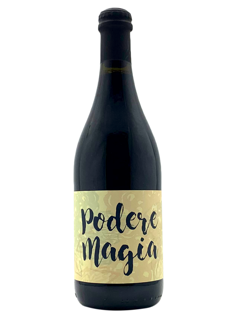 Lambrusco 2018 | Natural Wine by Podere Magia.