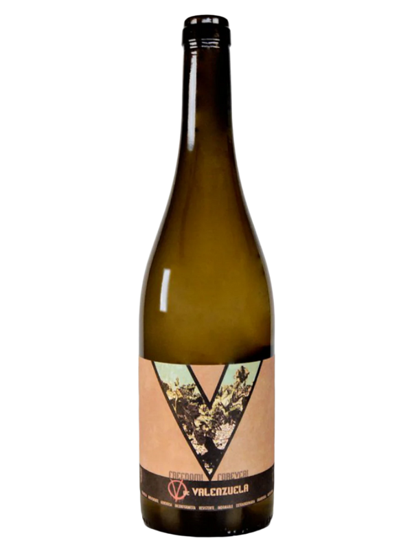 Barranco Oscuro - V de Valenzuela